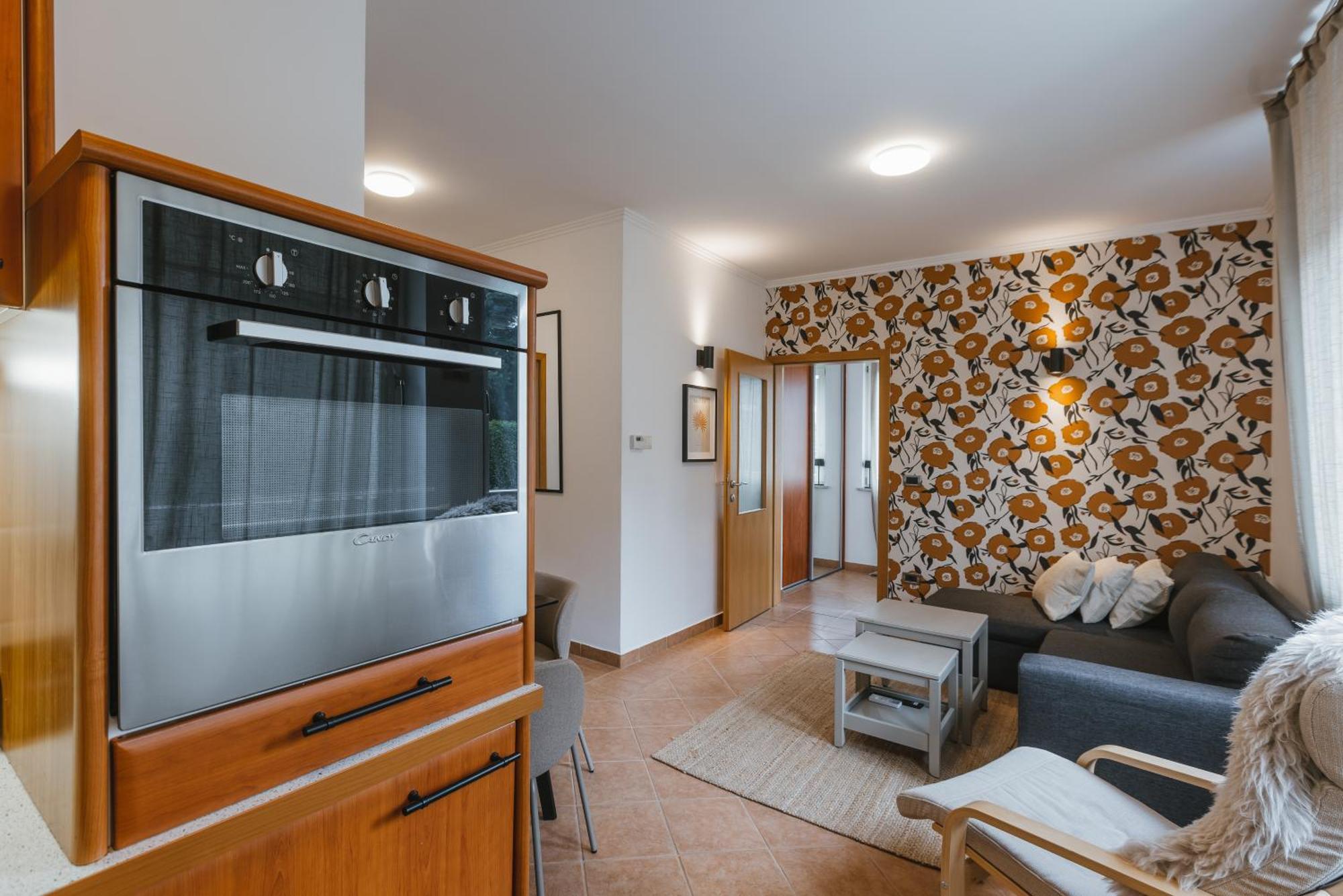 House Lenart Apartment